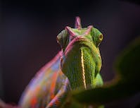 Computer Support
